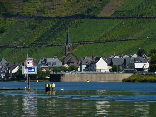 P1120197.JPG P1120197.JPG