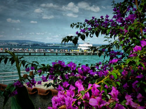 Boat_Mainau_fhdr.jpg Boat_Mainau_fhdr.jpg