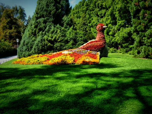 Mainau_faogel_fhdr.jpg Mainau_faogel_fhdr.jpg