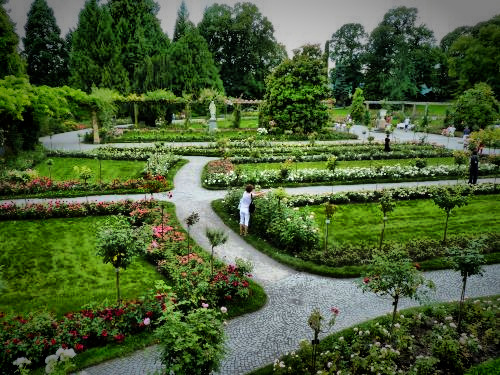 Rosor_fhdr.jpg Rosor_fhdr.jpg