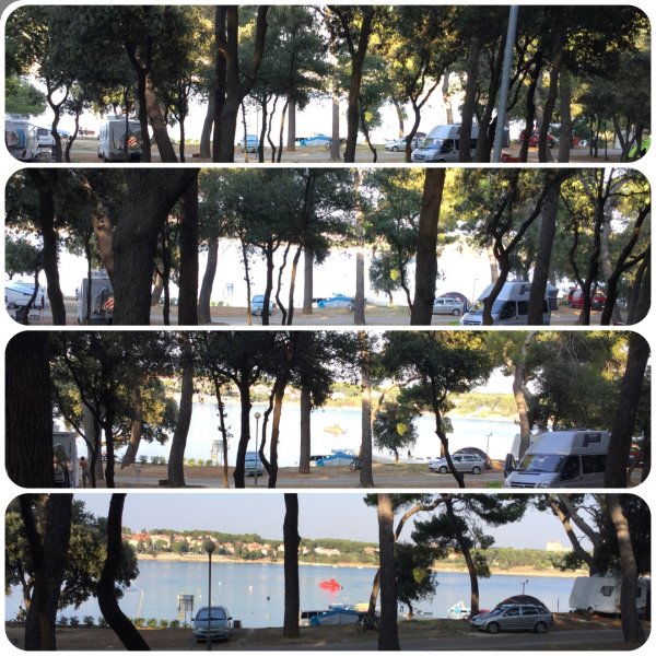 image.jpeg image.jpeg