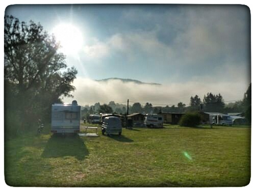 P1070658-01.jpeg P1070658-01.jpeg