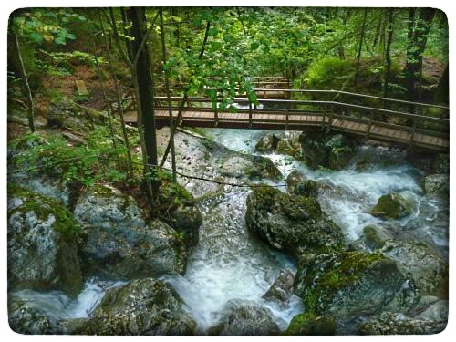 P1100871-01.jpeg P1100871-01.jpeg