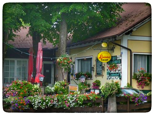 P1050630-01.jpeg P1050630-01.jpeg