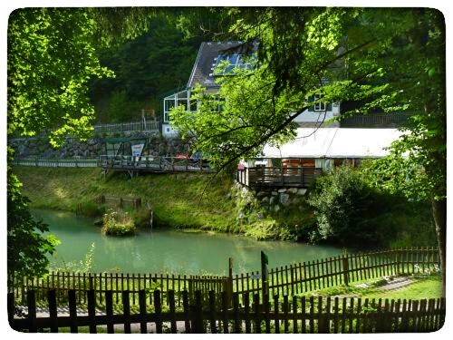 P1100900-01.jpeg P1100900-01.jpeg