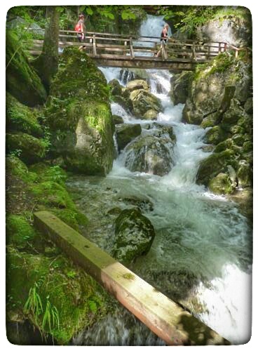 P1100861-01.jpeg P1100861-01.jpeg