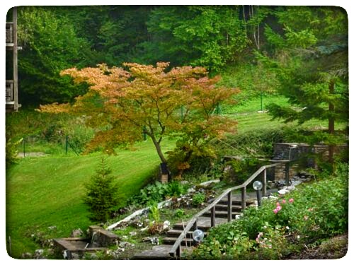 P1070667-01.jpeg P1070667-01.jpeg