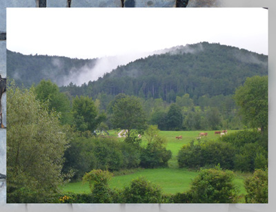 pernitz_1.jpg pernitz_1.jpg