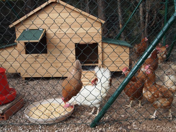 P1255792.JPG P1255792.JPG