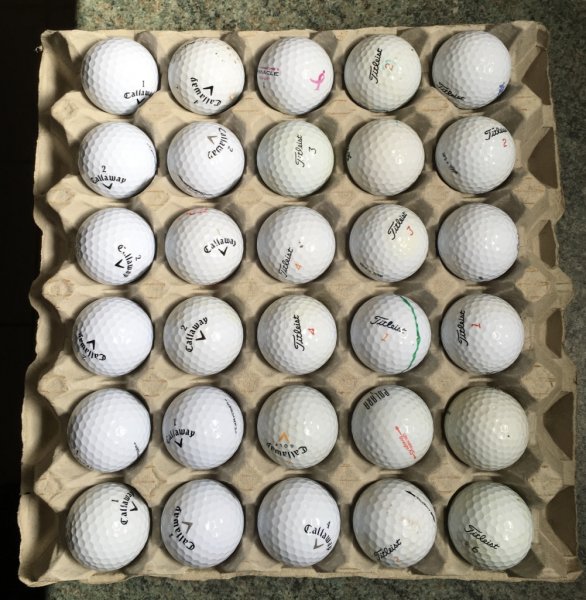 thumb_IMG_6698_1024.jpg thumb_IMG_6698_1024.jpg