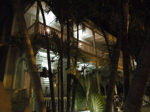 DSCN1591.JPG DSCN1591.JPG