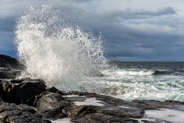 20160929-229.jpg 20160929-229.jpg