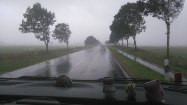 DSC_0001 (8).JPG DSC_0001 (8).JPG