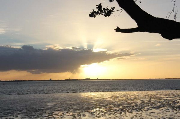 IMG_4293.jpg IMG_4293.jpg