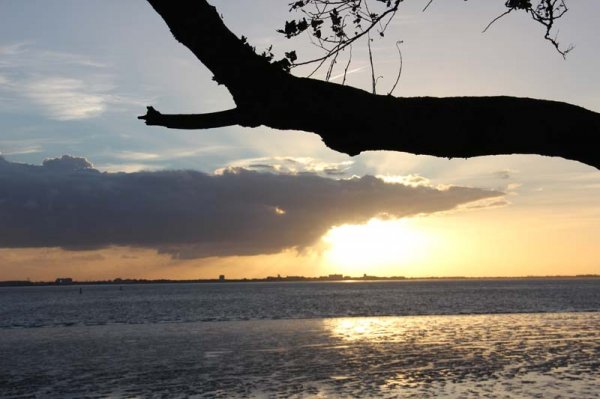 IMG_4303.jpg IMG_4303.jpg