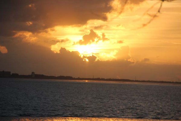 IMG_4314.jpg IMG_4314.jpg