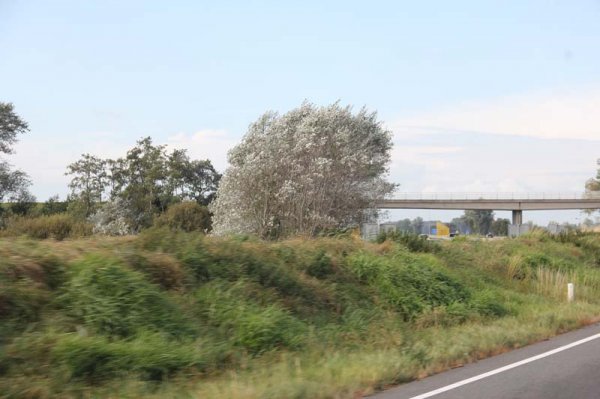 IMG_4323.jpg IMG_4323.jpg