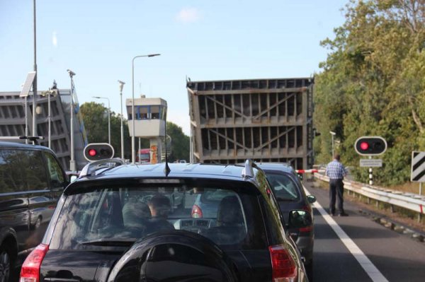 IMG_4325.jpg IMG_4325.jpg