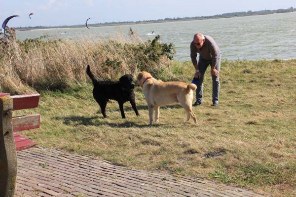 IMG_4334.jpg IMG_4334.jpg