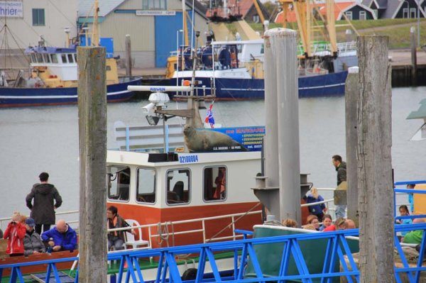 IMG_4345.jpg IMG_4345.jpg