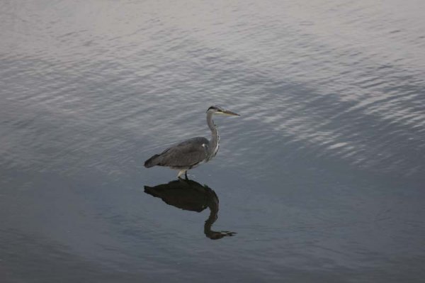 IMG_4359.jpg IMG_4359.jpg