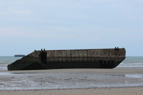 16109 Mulberry.jpg 16109 Mulberry.jpg