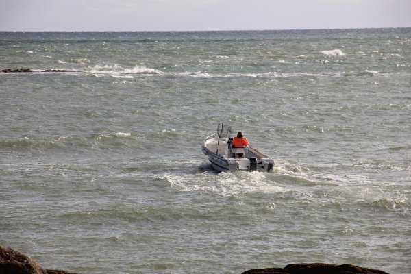 IMG_4525.JPG IMG_4525.JPG