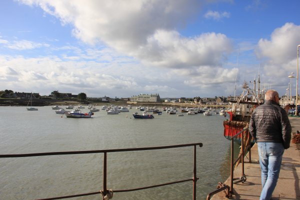 IMG_4529.JPG IMG_4529.JPG