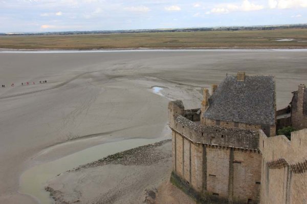 IMG_4547 - kopia.jpg IMG_4547 - kopia.jpg