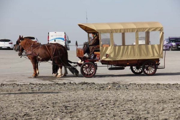 IMG_4567 - kopia.jpg IMG_4567 - kopia.jpg