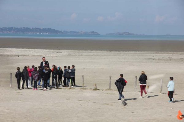 IMG_4571 - kopia.jpg IMG_4571 - kopia.jpg