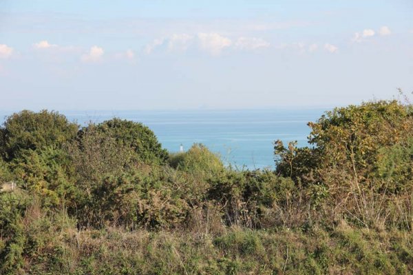 IMG_4574 - kopia.jpg IMG_4574 - kopia.jpg