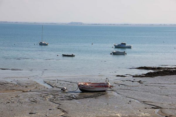 IMG_4581 - kopia.jpg IMG_4581 - kopia.jpg