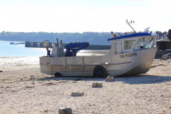 IMG_4586 - kopia.jpg IMG_4586 - kopia.jpg