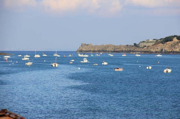 IMG_4595 - kopia.jpg IMG_4595 - kopia.jpg