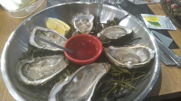 DSC_0018 (3).jpg DSC_0018 (3).jpg