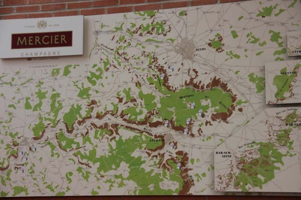 7 Vinodlingar.jpg 7 Vinodlingar.jpg