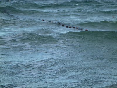 drivgarn_1.JPG drivgarn_1.JPG