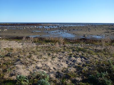 stenåsa_2.JPG stenåsa_2.JPG