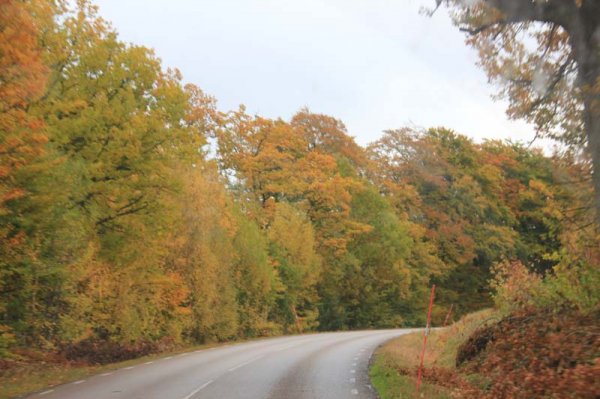 19 Några svängr till.jpg 19 Några svängr till.jpg