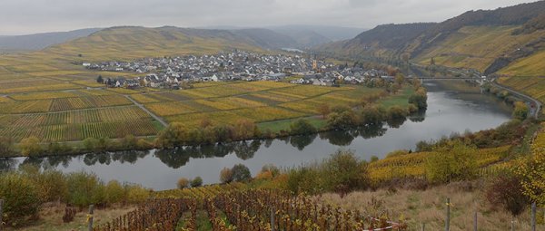 Mosel.jpg