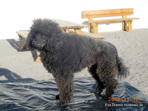 DSCN1246.JPG DSCN1246.JPG