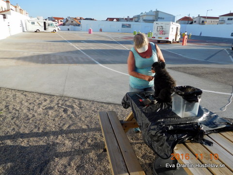 DSCN1247.JPG DSCN1247.JPG