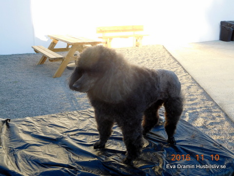 DSCN1249.JPG DSCN1249.JPG