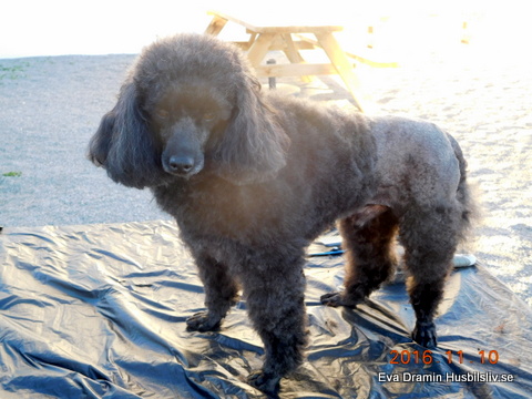 DSCN1251.JPG DSCN1251.JPG