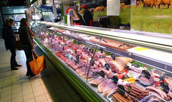 chark-1.jpg chark-1.jpg