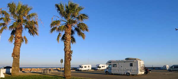 frikampare-i-hamnen.jpg frikampare-i-hamnen.jpg