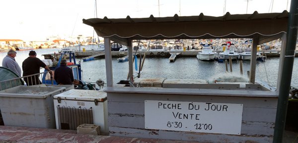 8-30h på morgonen.jpg 8-30h på morgonen.jpg