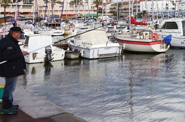 hamnfiskare.jpg hamnfiskare.jpg