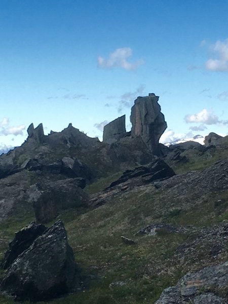 IMG_1374.jpg IMG_1374.jpg